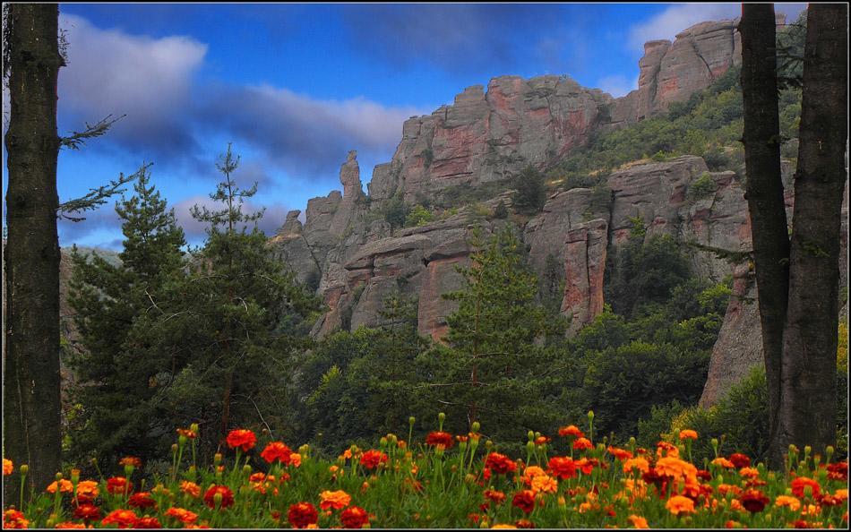 Castle Cottage Bed & Breakfast Belogradçik Dış mekan fotoğraf