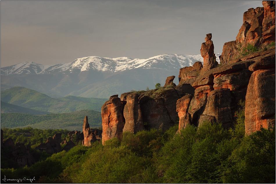 Castle Cottage Bed & Breakfast Belogradçik Dış mekan fotoğraf